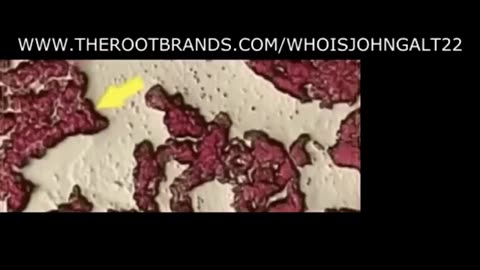 SIMON PARKES W MAJOR REVEAL ON GRAPHENE OXIDE IN BIO WEAPON - Owenmedia331 PART 9
