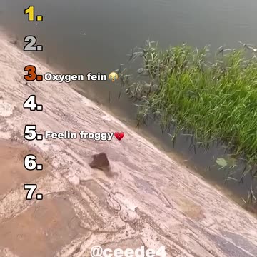 Funniest Medazelli🤣