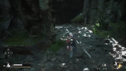 Wukong Find and Beat Fungiwomen