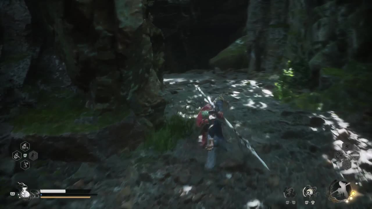 Wukong Find and Beat Fungiwomen
