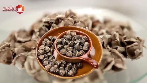 12 Beneficios de Consumir Semillas de Moringa Durante 7 Días