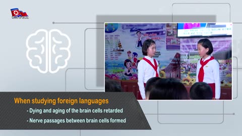 Some Ways Good for Brain Training
