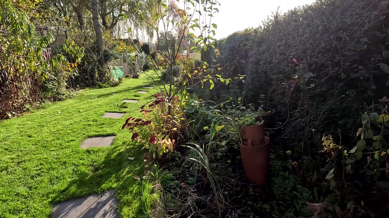 Late November Garden Tour