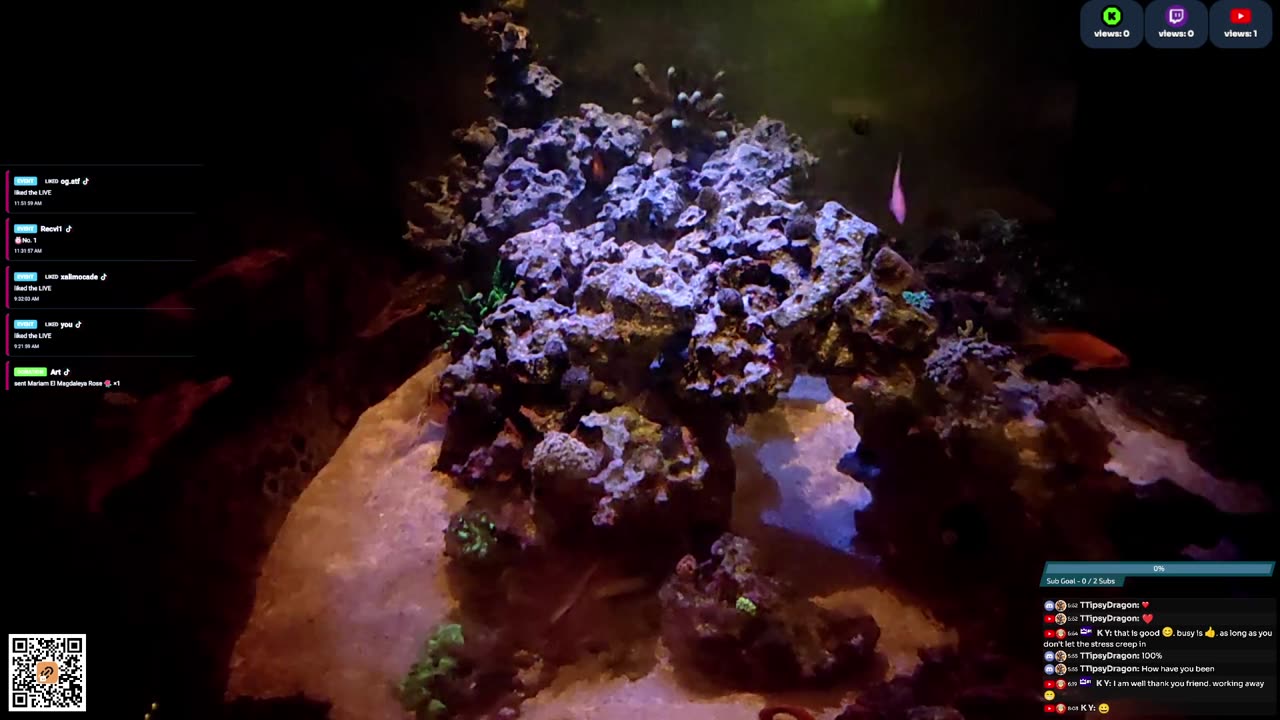 24/7 Real Live Reef Stream