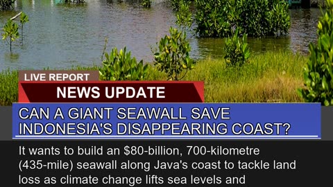 Can a Giant Seawall Save Indonesias Disappearing