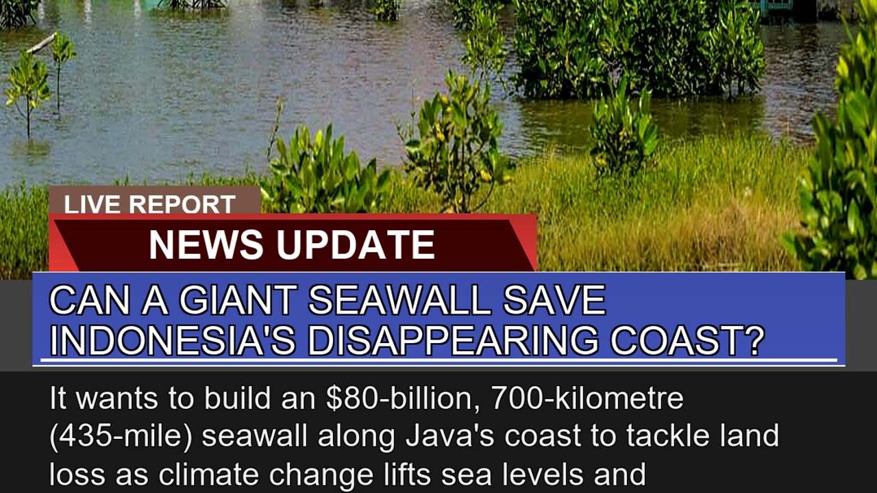 Can a Giant Seawall Save Indonesias Disappearing