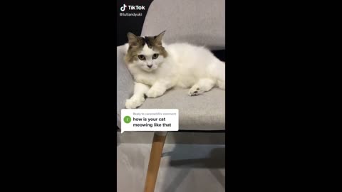 funniest video part 2