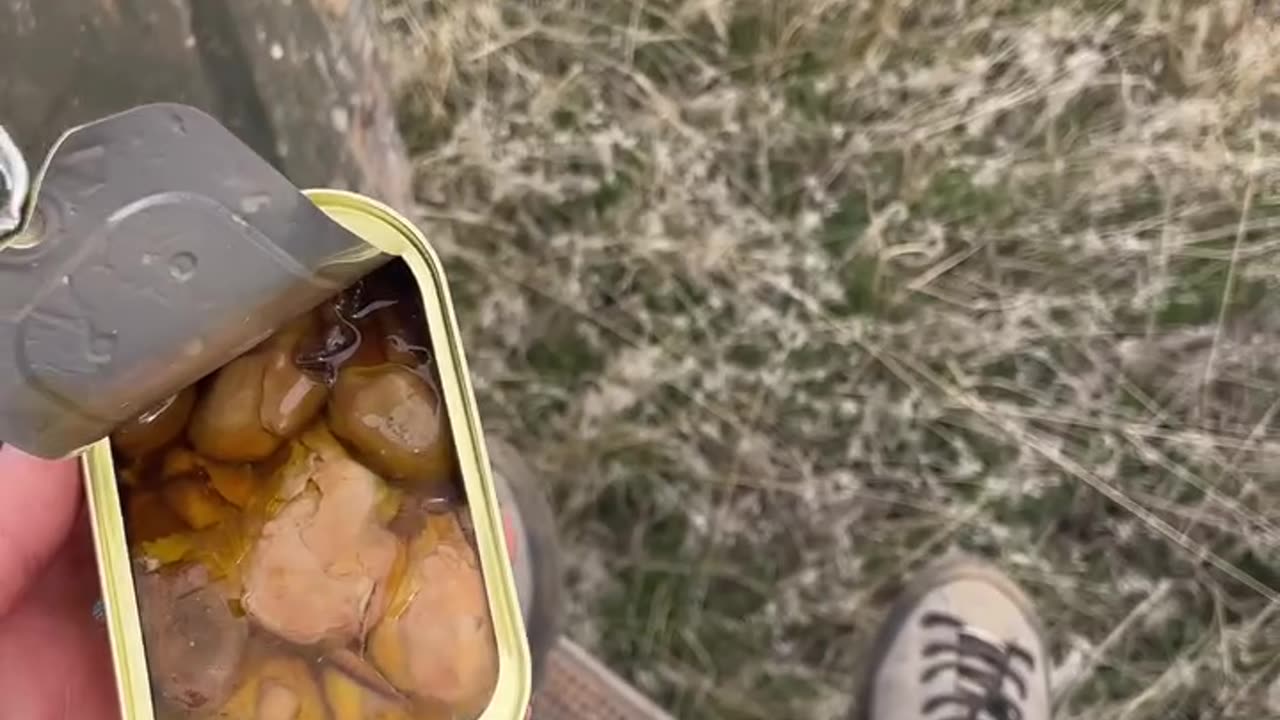 The Electric Fence Story.. cartercountrymeats.com