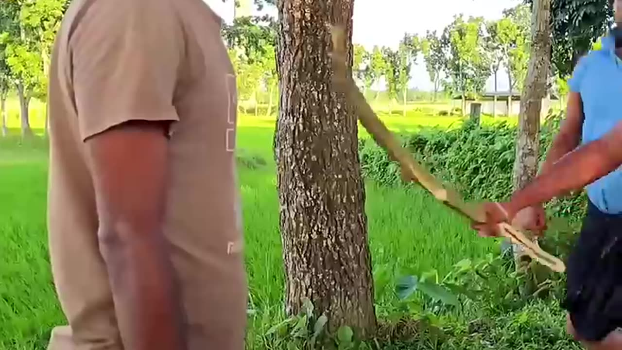Funny Video (Follow My Channel)