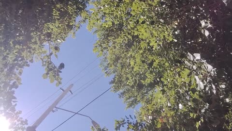 Back in the days of Morristown with N822PA and twitch live streams