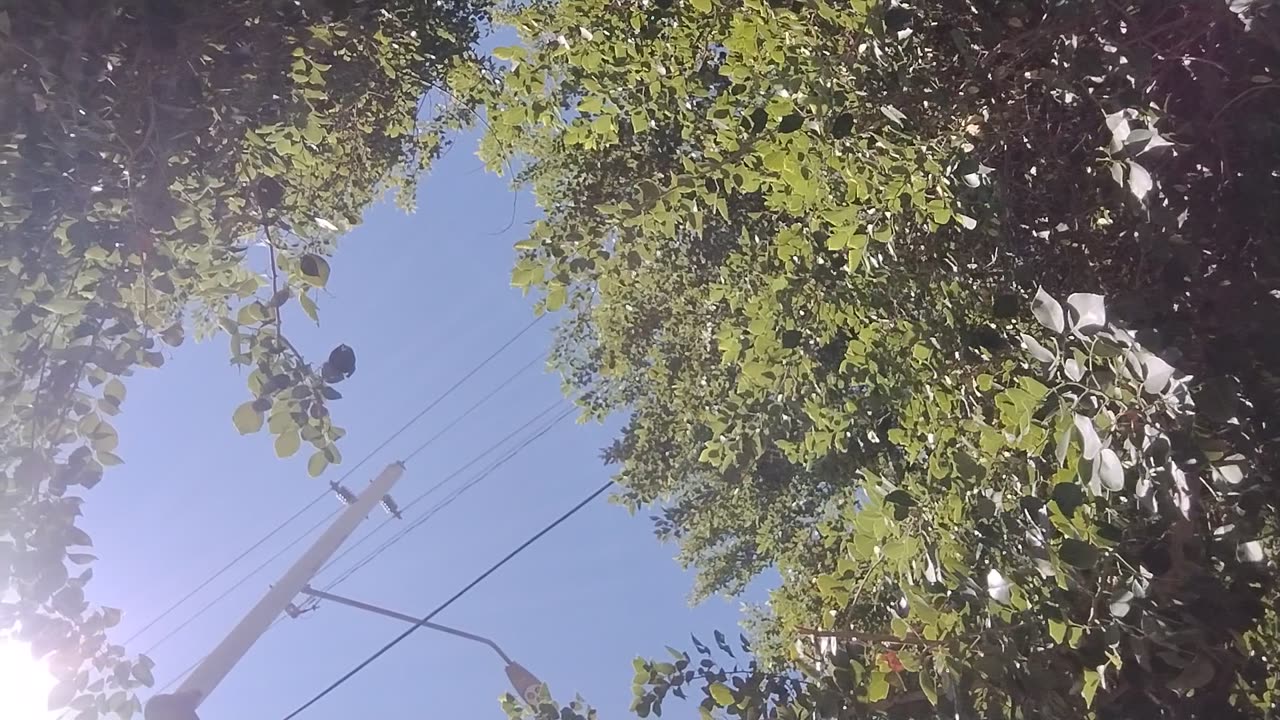 Back in the days of Morristown with N822PA and twitch live streams