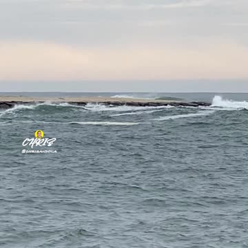 DO YOU SEE THE SEAL?