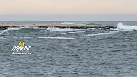 DO YOU SEE THE SEAL?