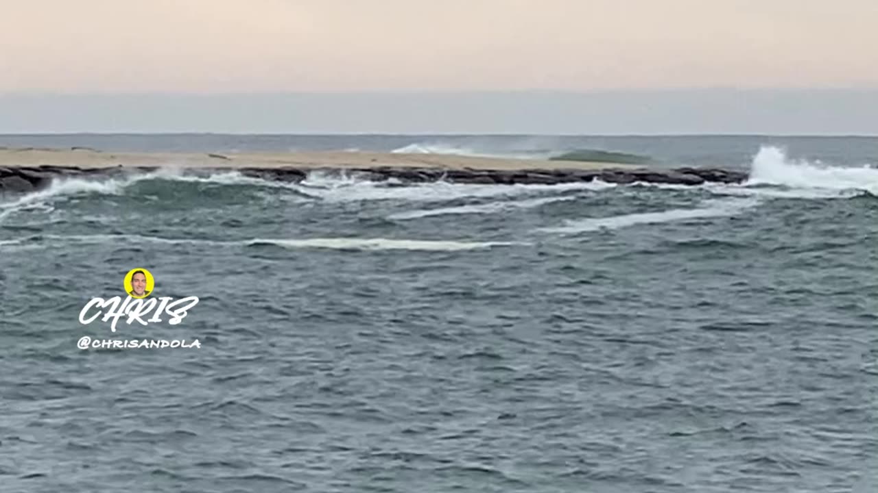 DO YOU SEE THE SEAL?