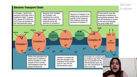 Plus Two Biology Chapter 12 Part 2(1)