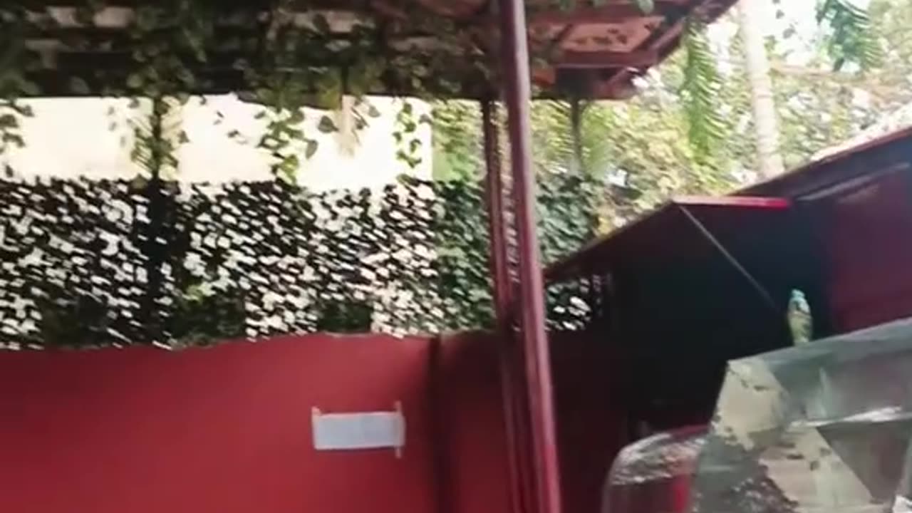 Amazing