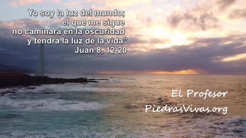 Juan 8 del 12 al 20