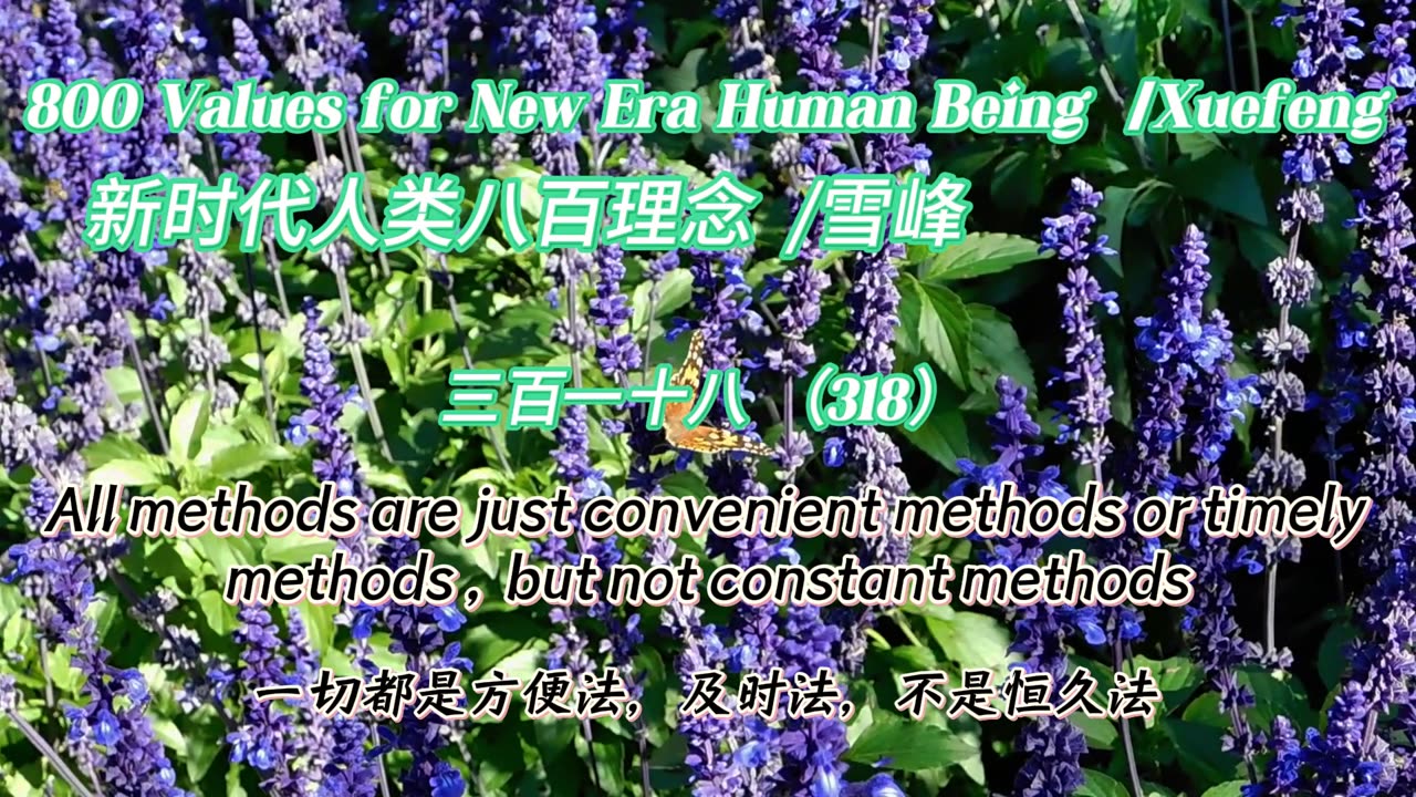 800 Values for New Era Human Being(318)