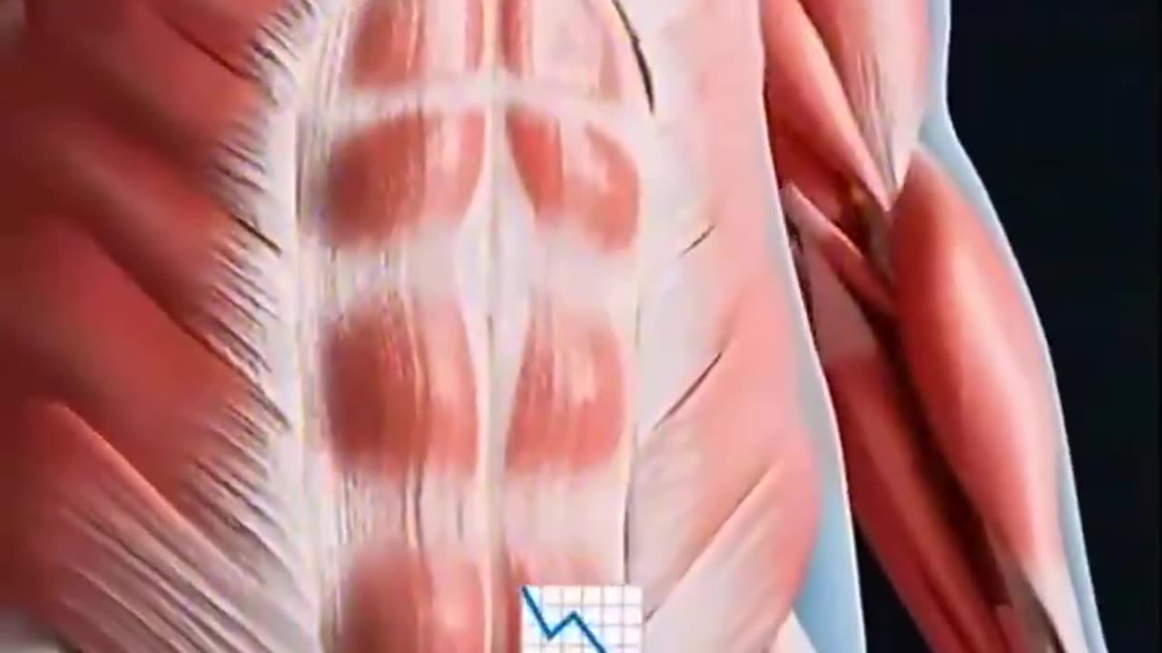 What happens to the body when you fast for 36 hrs?
