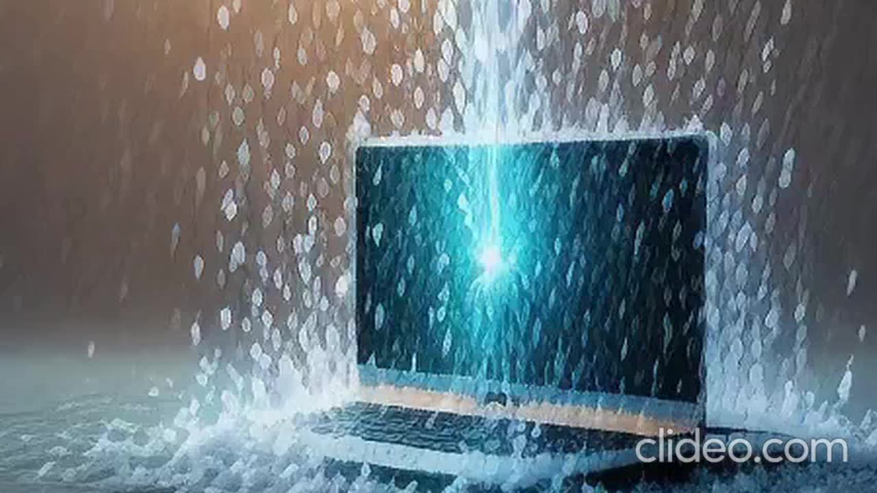cats funny animate 4.mp4