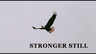 Pray USA, 11/24/2025 Stronger Still