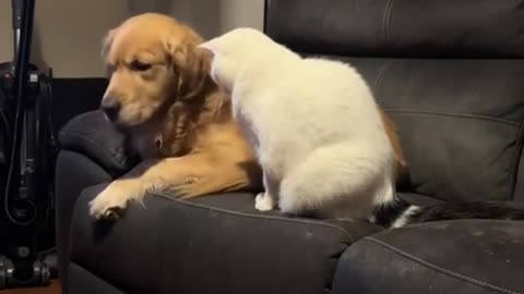 That’s my favourite spot sir 😊