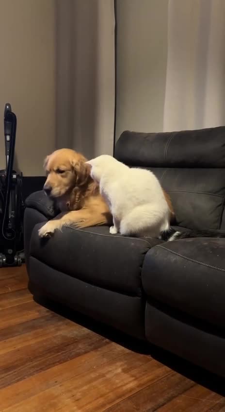 That’s my favourite spot sir 😊