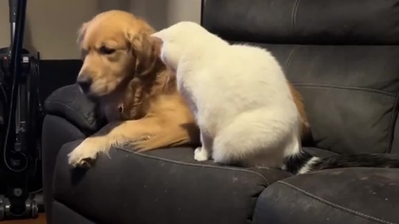 That’s my favourite spot sir 😊