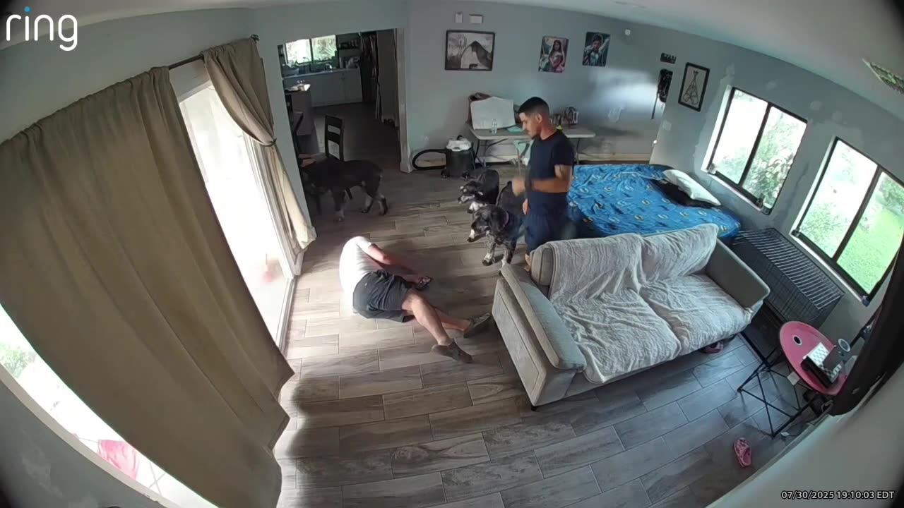 Man Trips Backwards Over Dog