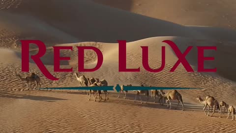Валюта язык и когда ехать в Саудовскую Аравию - важные советы. Red Luxe — умра круглый год