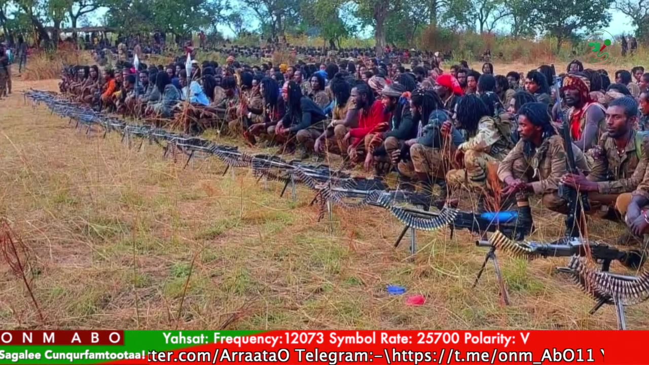 Gabaasa Tarkaanfii ONM-ABO Caamsaa 4-2025 itti dhiyaadhaa!