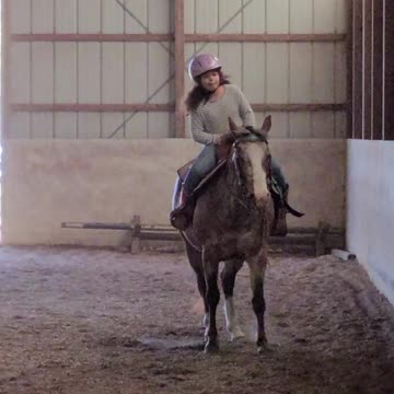 Teaching Diva to stay in a canter