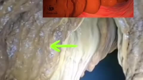 My previous video on him-a- Himalayan rock salt… here is even further proof of what we call rocks are really