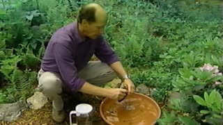 Bird Watch With Don And Lillian Stokes Attracting Birds I (1998)