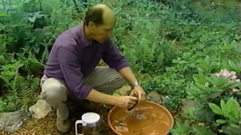 Bird Watch With Don And Lillian Stokes Attracting Birds I (1998)