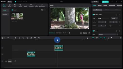 Capcut tricks