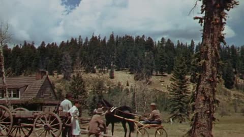 Green Grass of Wyoming (1948) Full movie | Western