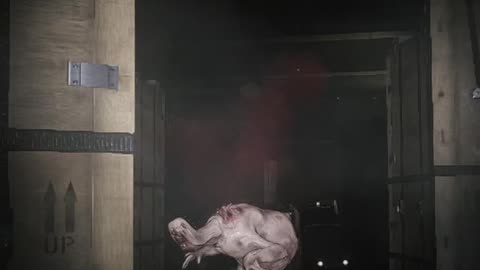 SCP 5K FREAK OUT!!!