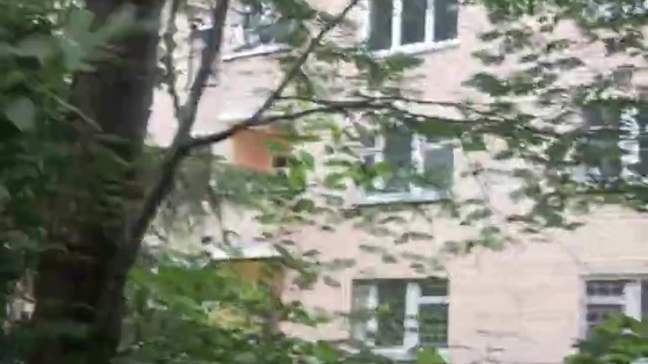Pocket Cam! 🕵️‍♂️ Secret Forest House Entry