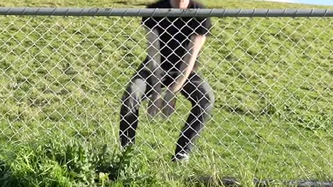 How Animals Get Over a Fence