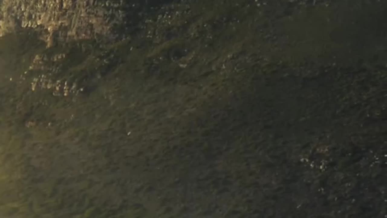 You Can Have What You Want In 5 Years Quote