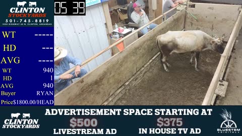 8/23/2025 - Cattle Auction - Clinton Stockyards