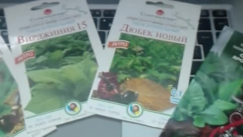 будни не плантатора 4 everyday/not/planter tous les jours/pas/planteur jeden Tag/nicht/Pflanzer