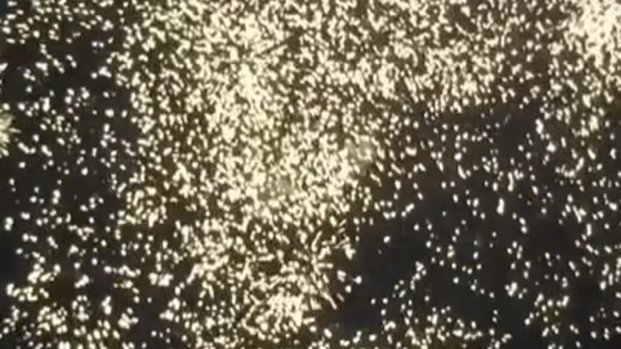 Mesmerizing Firework Ambience: A Burst of Color and Sound