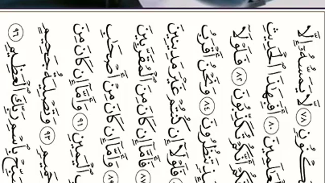ما تيسر من سورة الواقعة - بصوت القارئة - أزهار عنتر - تلاوة هادئة تريح الأعصاب بصوت جميل جداً جداً8