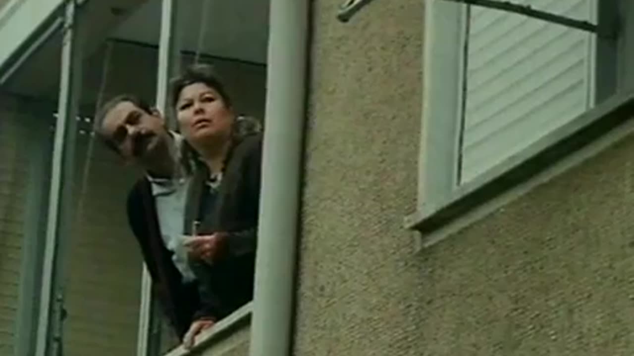 Boynu bükük küheylan