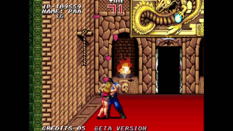 Double dragon one