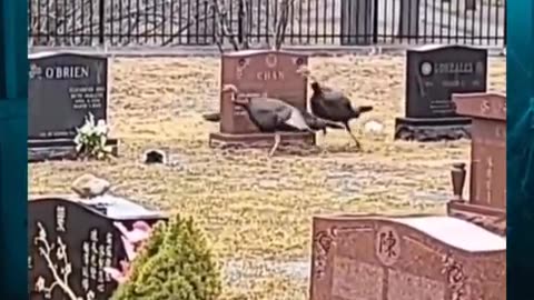 👻 What Are They Doing?! | TheHauntingHour