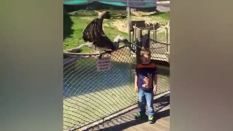 Try not to laugh
