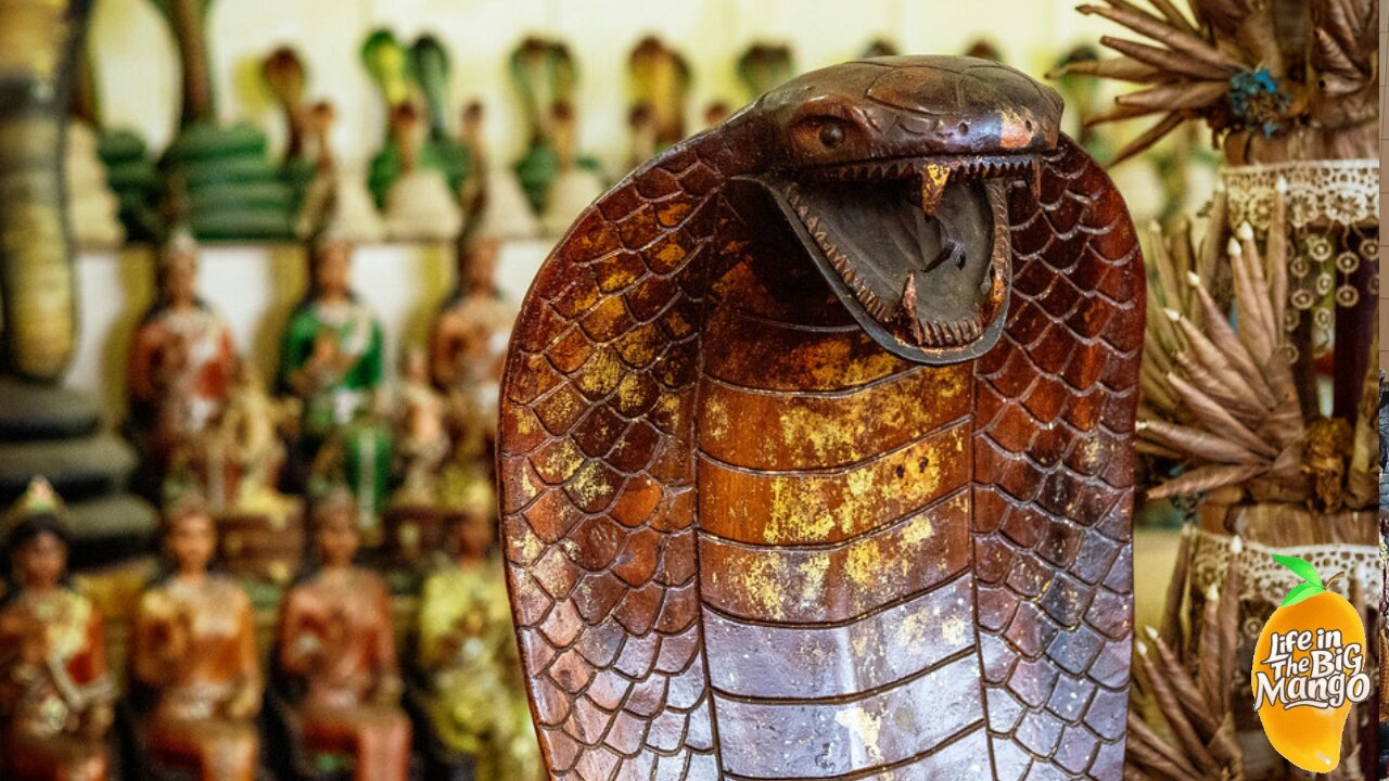 Snake Temple | Rama 2 | Bangkok